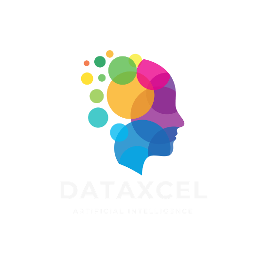 Dataxcel Logo